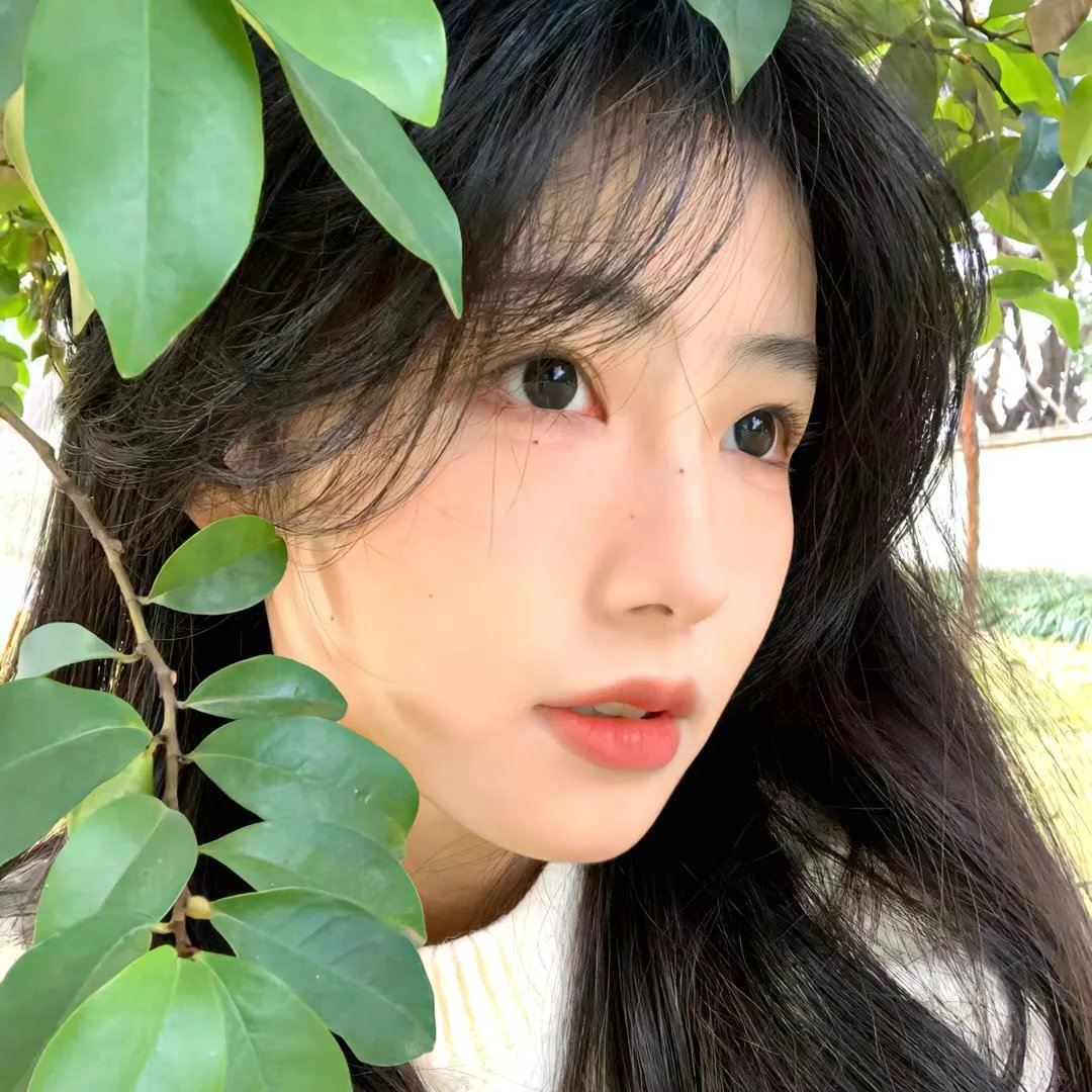 狼嚎:重生